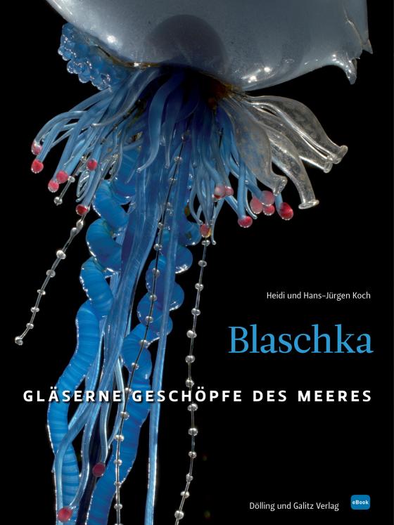 Cover-Bild Blaschka (HD-Version)