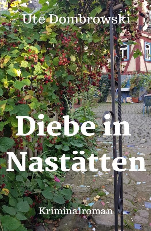 Cover-Bild Blaues-Ländchen-Krimi / Diebe in Nastätten