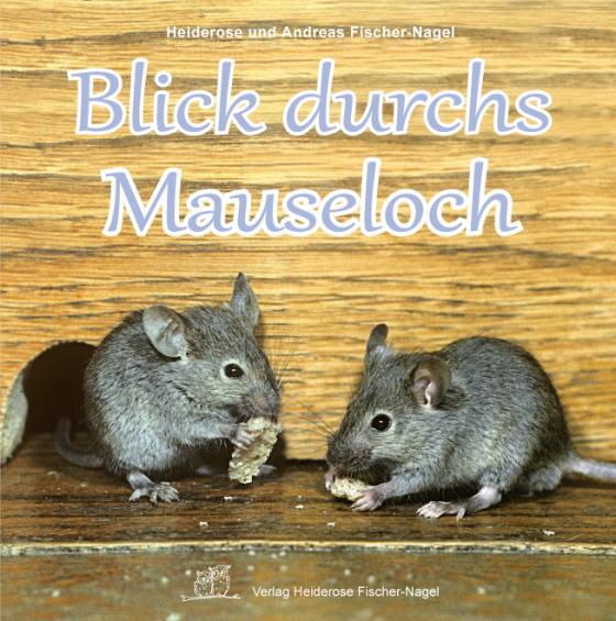 Cover-Bild Blick durchs Mauseloch