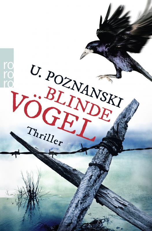 Cover-Bild Blinde Vögel