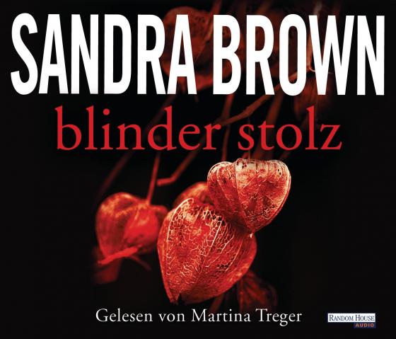 Cover-Bild Blinder Stolz