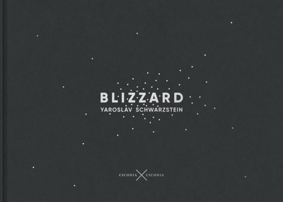 Cover-Bild Blizzard