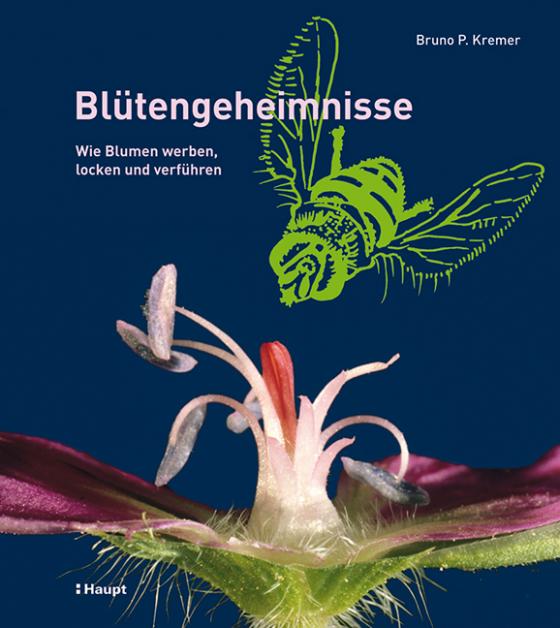 Cover-Bild Blütengeheimnisse