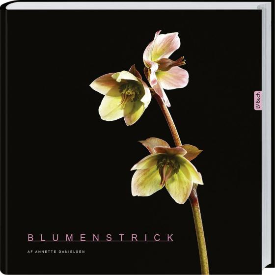 Cover-Bild Blumenstrick