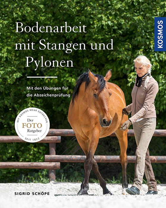 Cover-Bild Bodenarbeit mit Stangen und Pylonen