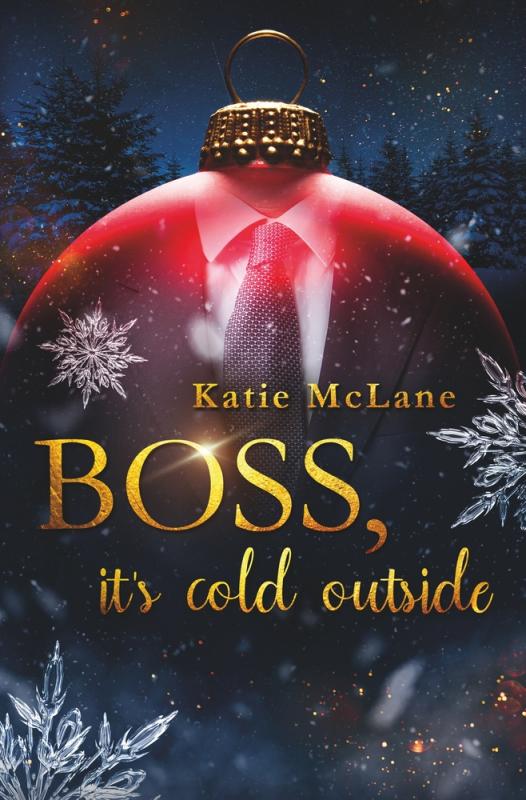 Cover-Bild Boss, it's cold outside