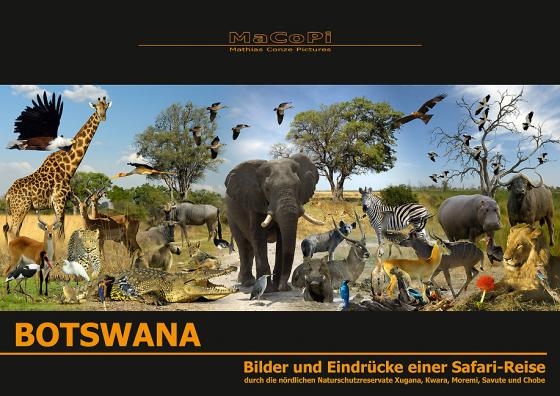 Cover-Bild Botswana - Bilder und Eindrücke einer Safari-Reise