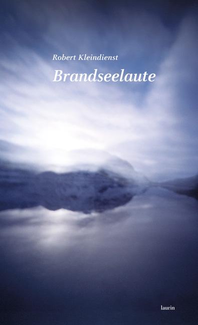 Cover-Bild Brandseelaute