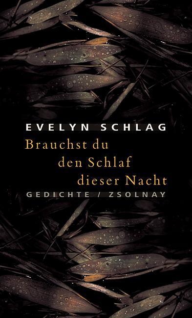 Cover-Bild Brauchst du den Schlaf dieser Nacht