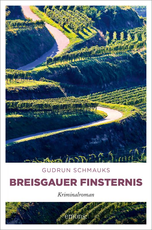 Cover-Bild Breisgauer Finsternis