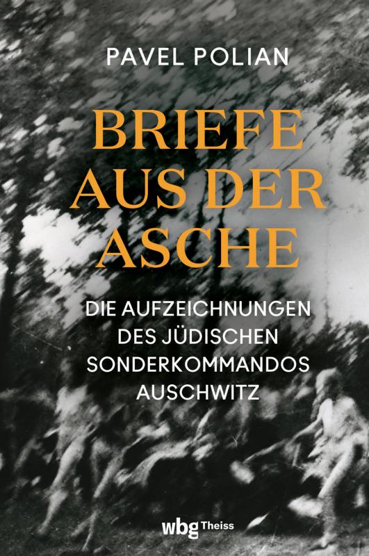 Cover-Bild Briefe aus der Asche