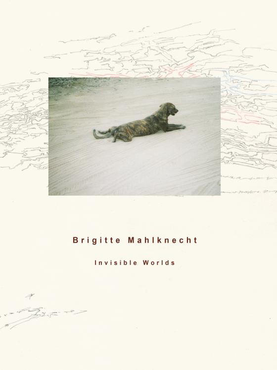 Cover-Bild Brigitte Mahlknecht, Invisible Worlds