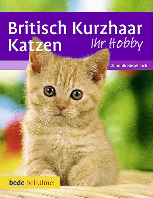 Cover-Bild Britisch Kurzhaar Katzen