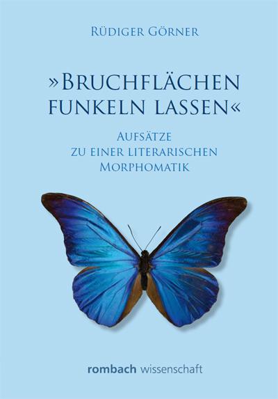 Cover-Bild 'Bruchflächen funkeln lassen'