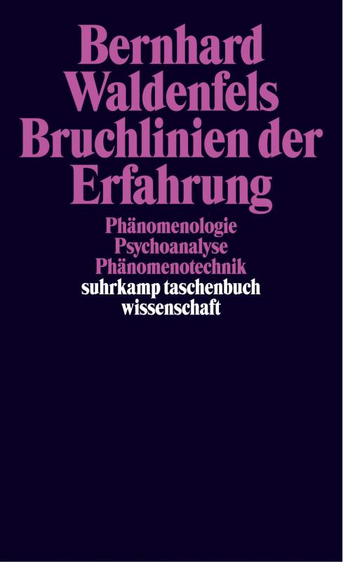 Cover-Bild Bruchlinien der Erfahrung