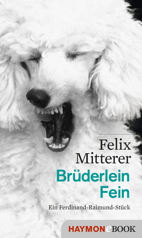 Cover-Bild Brüderlein Fein