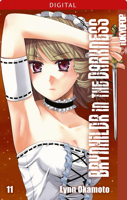 Cover-Bild Brynhildr in the Darkness 11