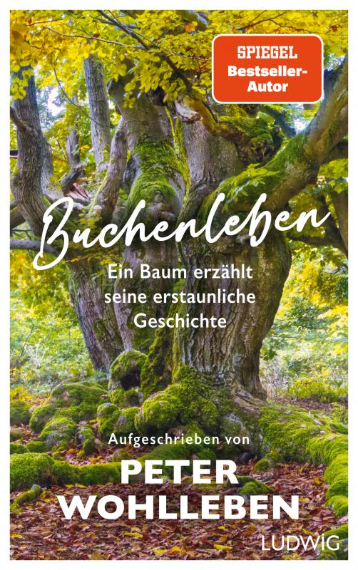 Cover-Bild Buchenleben