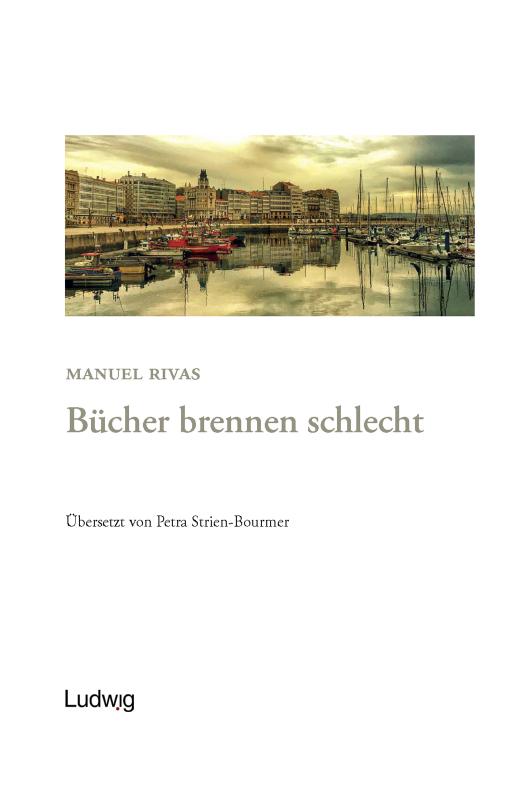 Cover-Bild Bücher brennen schlecht