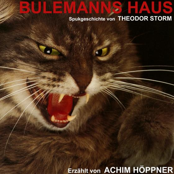 Cover-Bild Bulemanns Haus