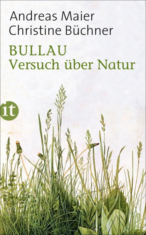 Cover-Bild Bullau