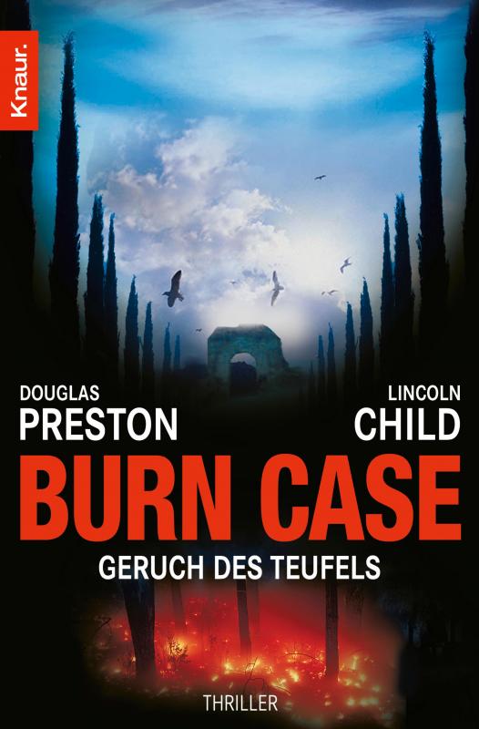 Cover-Bild Burn Case