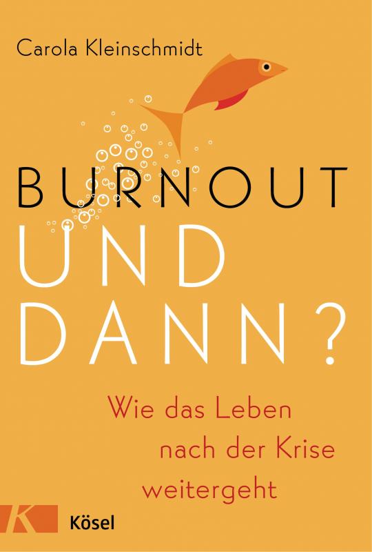 Cover-Bild Burnout - und dann?