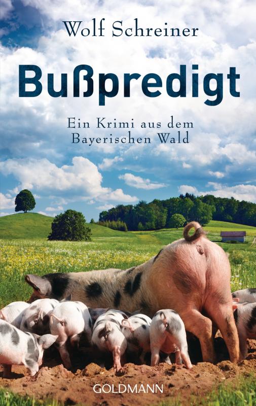 Cover-Bild Bußpredigt