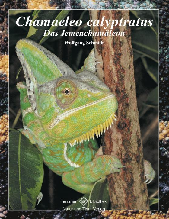 Cover-Bild Chamaeleo calyptratus