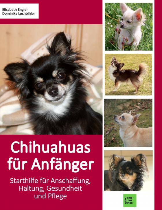 Cover-Bild Chihuahuas für Anfänger