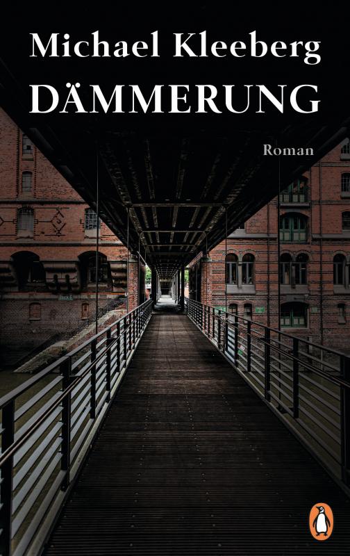 Cover-Bild Dämmerung