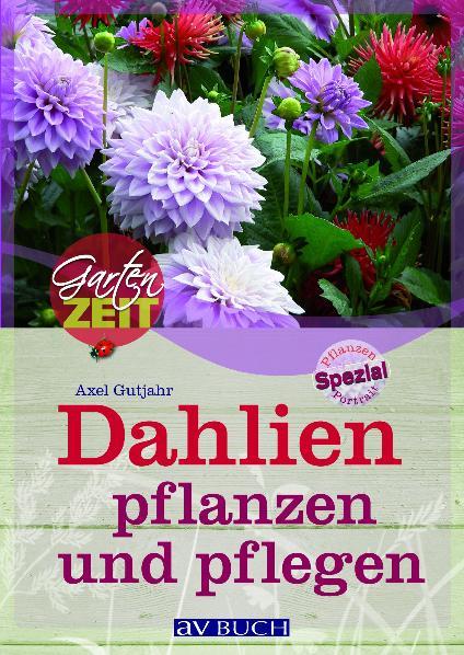 Cover-Bild Dahlien pflanzen und pflegen