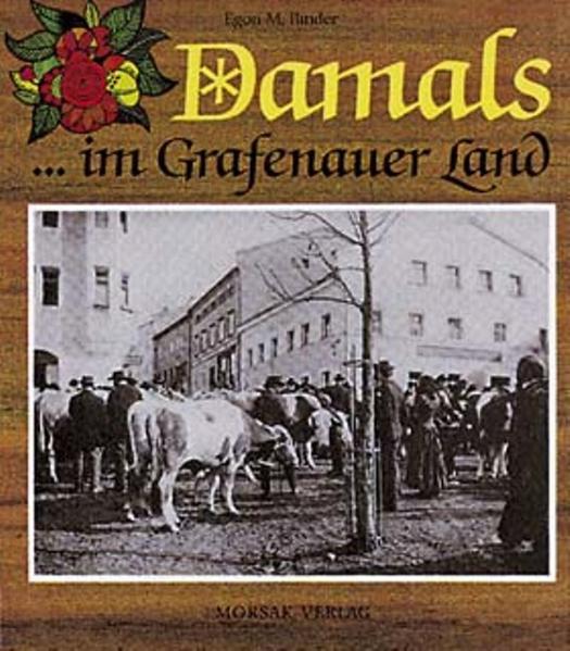 Cover-Bild Damals ... im Grafenauer Land