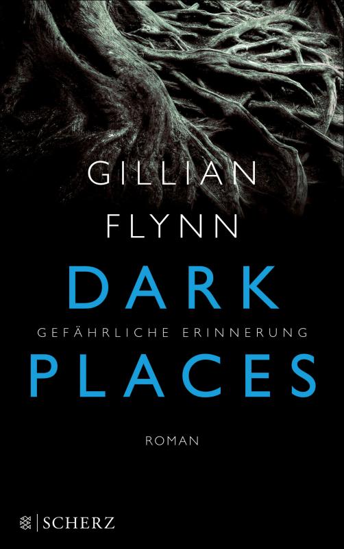 Cover-Bild Dark Places - Gefährliche Erinnerung