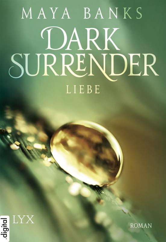 Cover-Bild Dark Surrender - Liebe