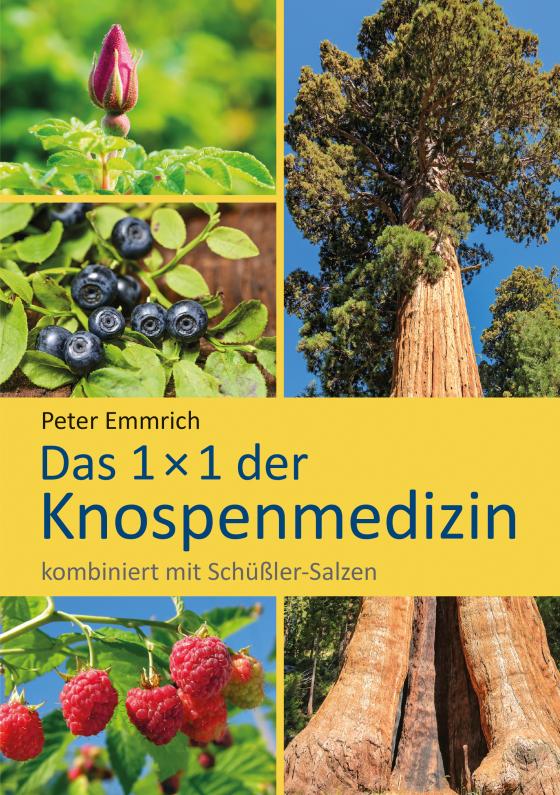 Cover-Bild Das 1×1 der Knospenmedizin