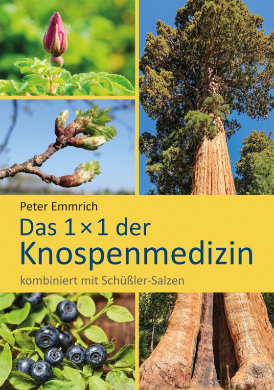 Cover-Bild Das 1 × 1 der Knospenmedizin