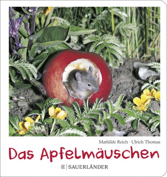 Cover-Bild Das Apfelmäuschen (Pappbilderbuch)