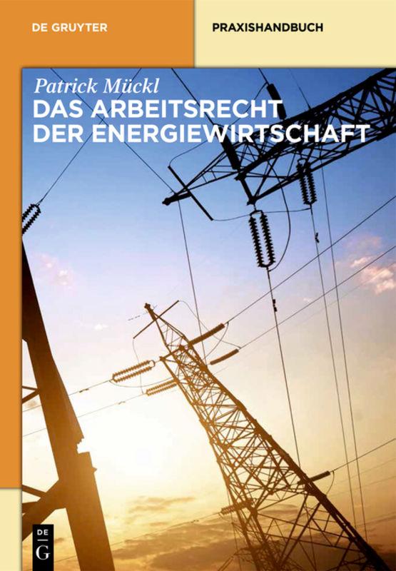 Cover-Bild Das Arbeitsrecht der Energiewirtschaft