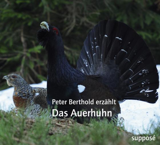 Cover-Bild Das Auerhuhn