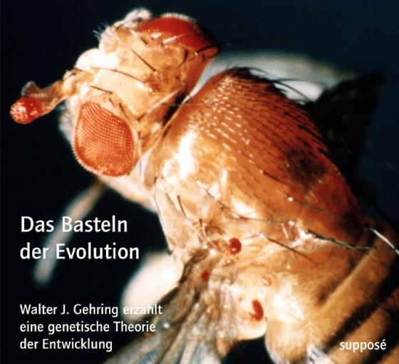 Cover-Bild Das Basteln der Evolution