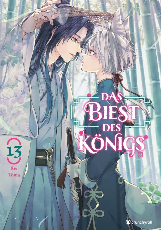 Cover-Bild Das Biest des Königs – Band 13