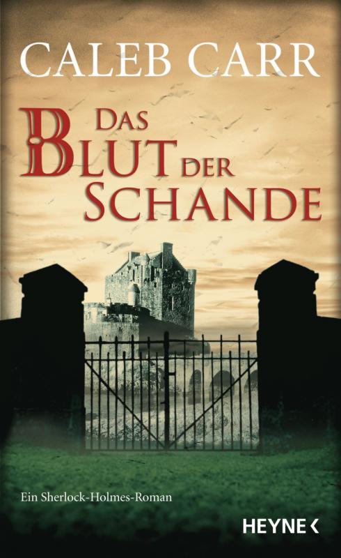 Cover-Bild Das Blut der Schande