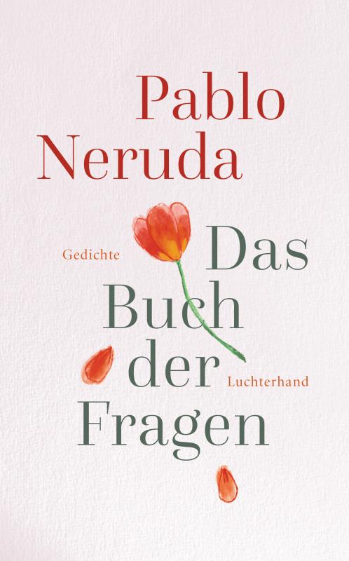 Cover-Bild Das Buch der Fragen