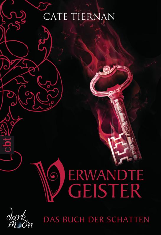 Cover-Bild Das Buch der Schatten - Verwandte Geister