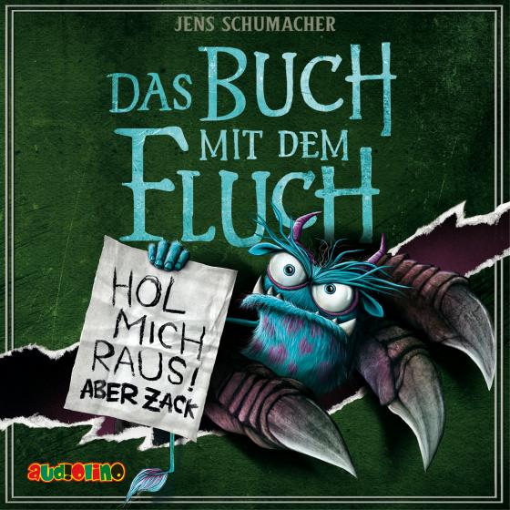 Cover-Bild Das Buch mit dem Fluch (2)