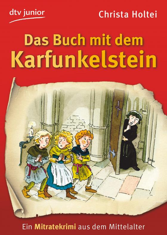 Cover-Bild Das Buch mit dem Karfunkelstein