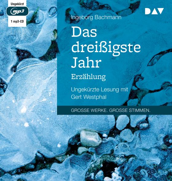 Cover-Bild Das dreißigste Jahr