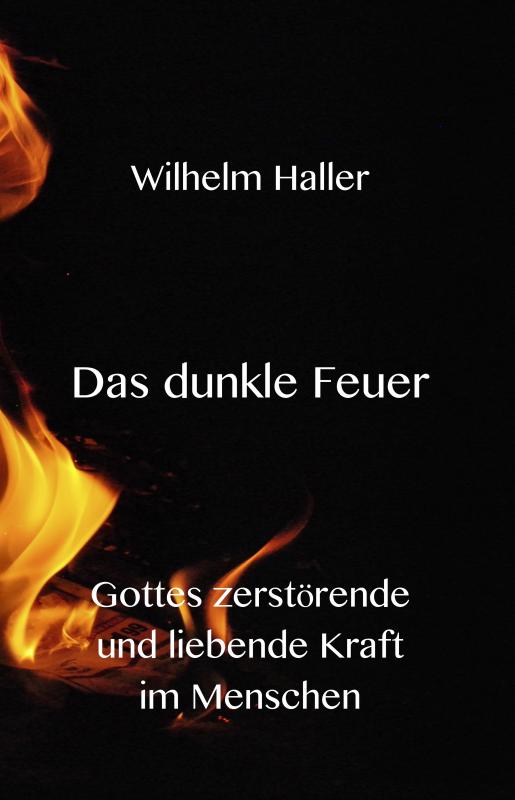 Cover-Bild Das dunkle Feuer