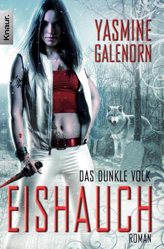 Cover-Bild Das dunkle Volk: Eishauch